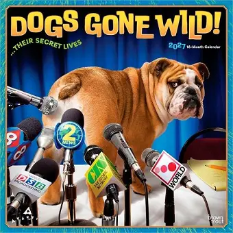 Avanti Dogs Gone Wild Official 2027 12 X 24 Inch (Hanging) Monthly Square Wall Calendar Plastic-Free cover