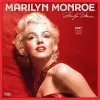 Marilyn Monroe Official 2027 12 X 24 Inch (Hanging) Monthly Square Wall Calendar Foil Stamped Cover Plastic-Free cover