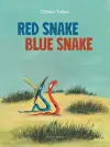 Red Snake Blue Snake cover