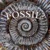 What is a Fossil? cover