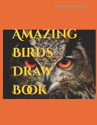 Amazing Birds Draw Book cover