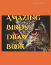 Amazing Birds Draw Book cover