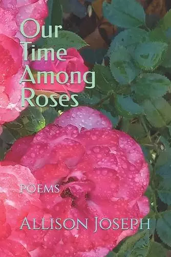 Our Time Among Roses cover