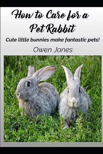 How To Care For A Pet Rabbit cover