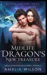 Midlife Dragon's New Treasure cover