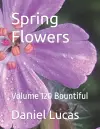 Spring Flowers cover