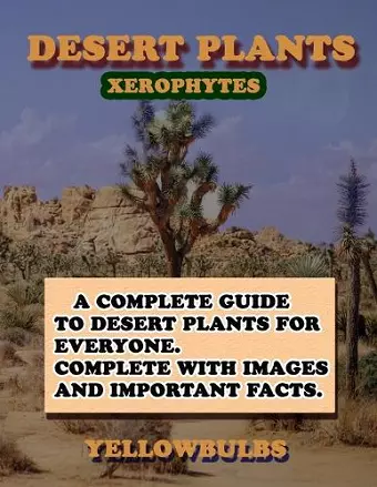 Desert plants cover