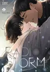 Radio Storm, Vol. 4 cover