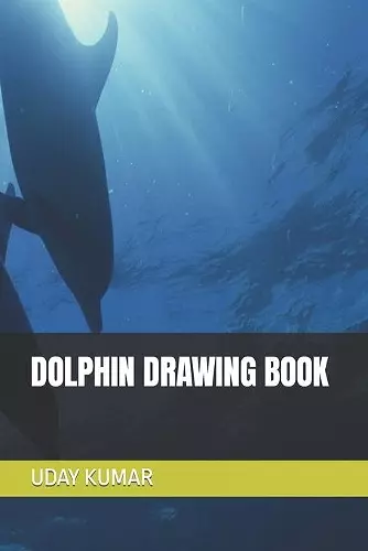 Dolphin Drawing Book cover