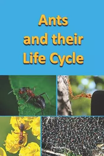 Ants and their Life Cycle cover