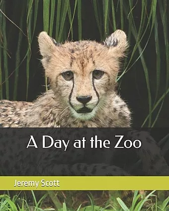 A Day at the Zoo cover