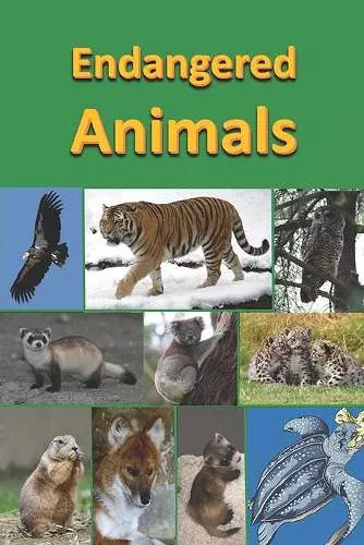 Endangered Animals cover