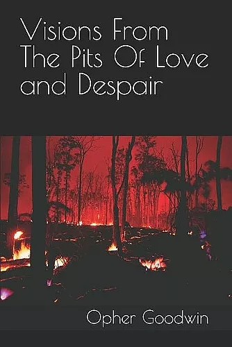 Visions From The Pits Of Love and Despair cover