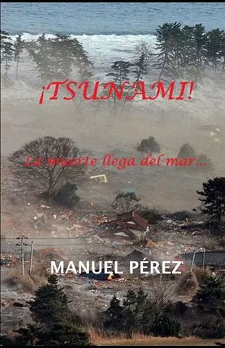 ¡Tsunami! cover