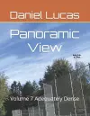 Panoramic View cover