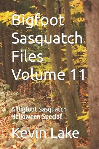 Bigfoot Sasquatch Files Volume 11 cover