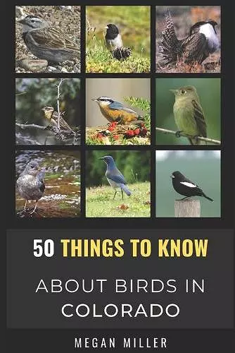 50 Things to Know About Birds in Colorado cover