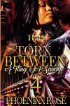 Torn Between a Thug & a Savage 4 cover