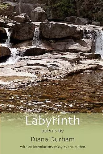 Labyrinth cover