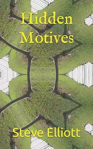 Hidden Motives cover