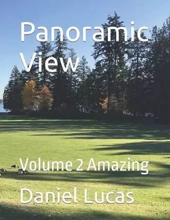 Panoramic View cover