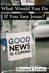 What Would You Do If You Saw Jesus? cover