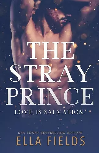 The Stray Prince cover