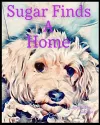 Sugar Finds A Home cover