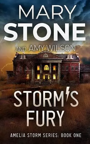 Storm's Fury cover