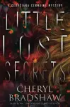 Little Lost Secrets cover