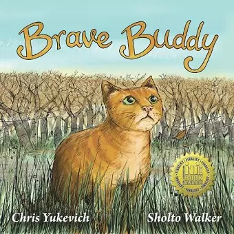 Brave Buddy cover