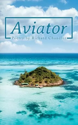 Aviator cover