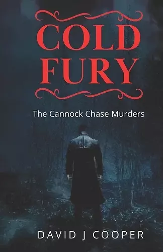 Cold Fury cover