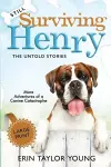 Still Surviving Henry cover