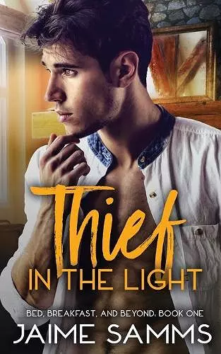 Thief in the Light cover