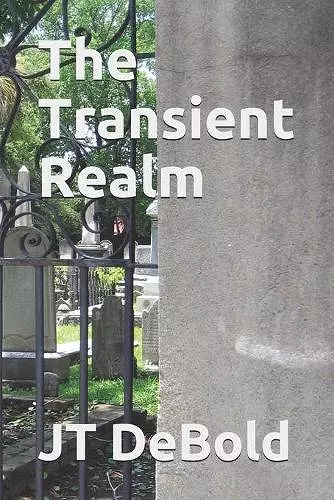 The Transient Realm cover