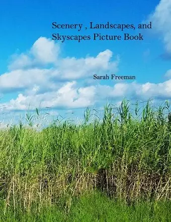 Scenery, Landscapes, and Skyscapes Picture Book cover