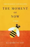 The Moment of Now cover