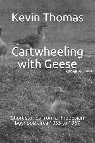 Cartwheeling with Geese cover