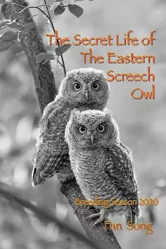 The Secret Life of Eastern Screech Owl cover