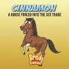 Cinnamon cover