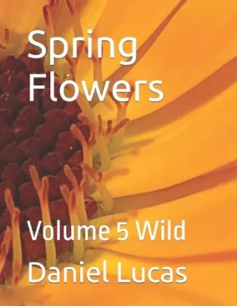 Spring Flowers cover