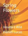 Spring Flowers cover