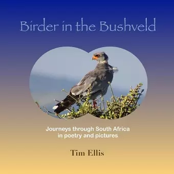 Birder in the Bushveld cover