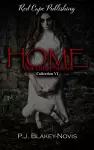 Home & Other Stories cover