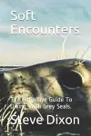 Soft Encounters cover
