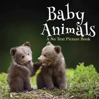 Baby Animals, A No Text Picture Book cover