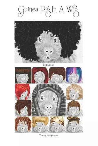 Guinea Pig In A Wig cover