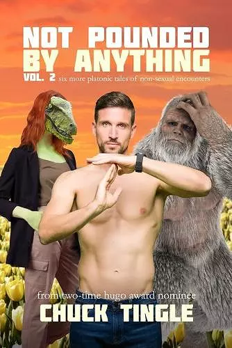 Not Pounded By Anything Vol. 2 cover