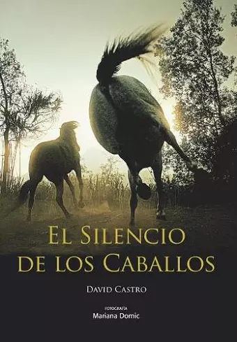 El Silencio de los Caballos cover